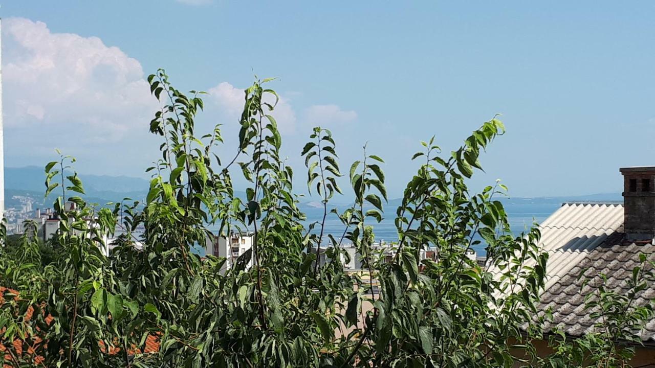 Apartment Jasmina Rijeka Ngoại thất bức ảnh